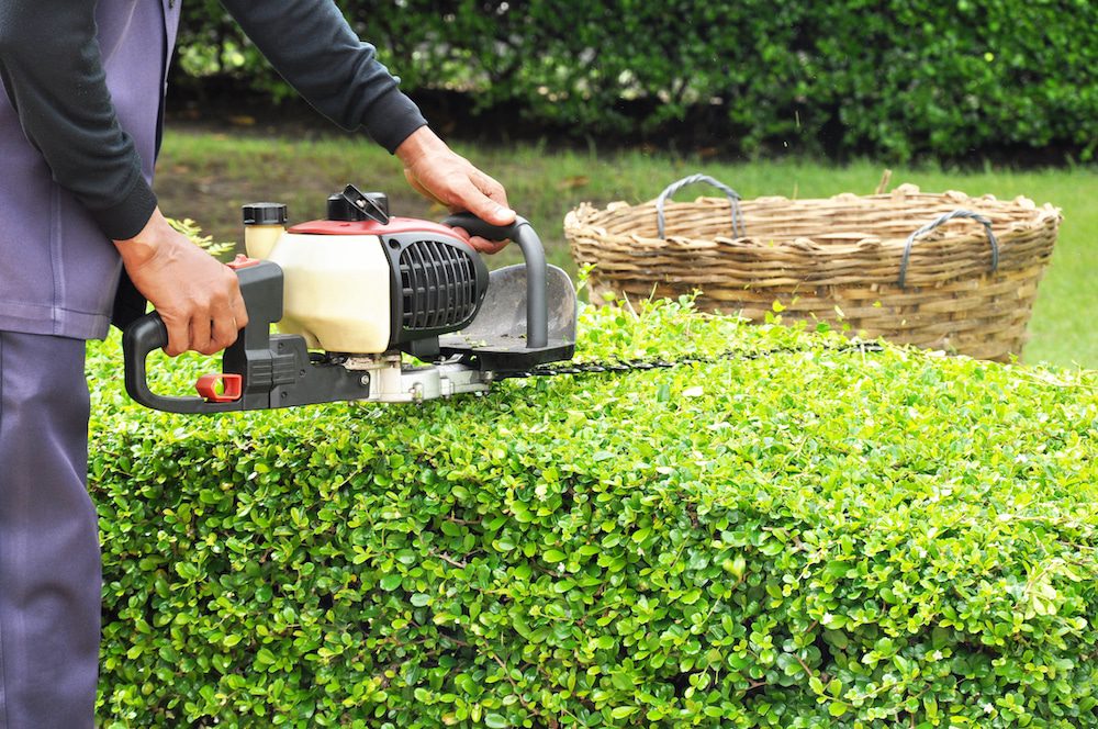 Oakleys Tree Hedge Trimming