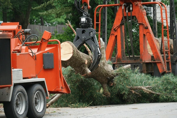 Oakleys Tree Removal