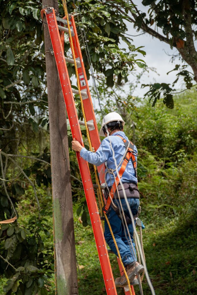 Tree Surgery