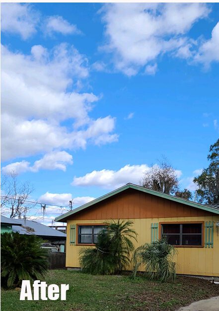 Before and after tree removal 1