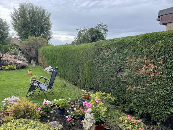 Romford Hedge Complete