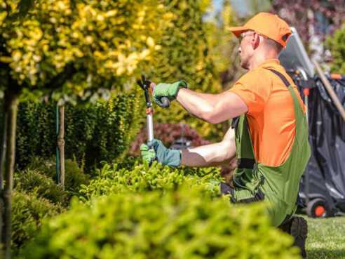 oakleys tree and garden services