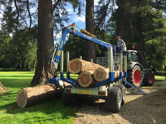 oakleys tree and garden services (15)