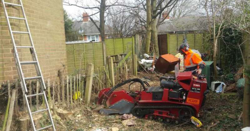 oakleys tree and garden services (16)