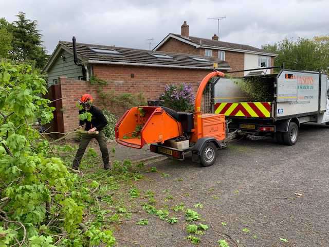 oakleys tree and garden services (17)