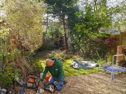 oakleys tree and garden services (19)