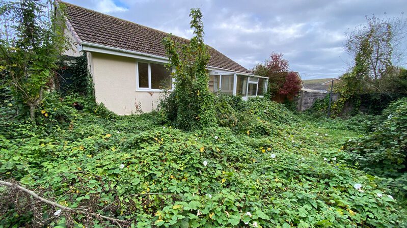 site clearance east devon 1