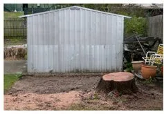 picture of before and after stumpgrinding a stump in brisbane