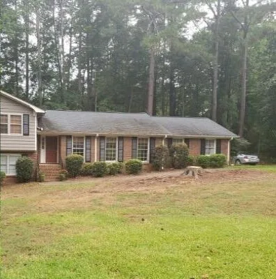 tree removal e1714548939718